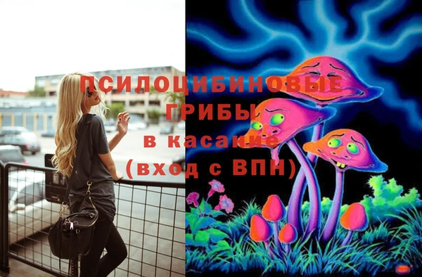 молекула духа Лиски