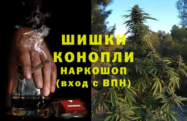 индика Лихославль