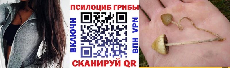 купить закладку  Тотьма  Псилоцибиновые грибы мицелий 